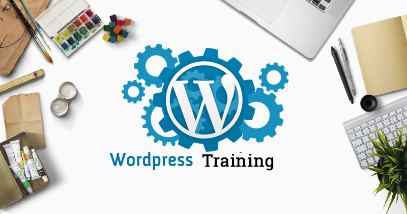 Step Up Your Website Game with Face-to-Face WordPress Training