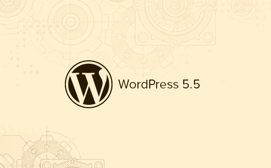 What’s New in WordPress 5.5 ??