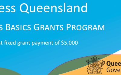 Business Queensland : Business Basics Grants Program Round 3 (17 May 2022)